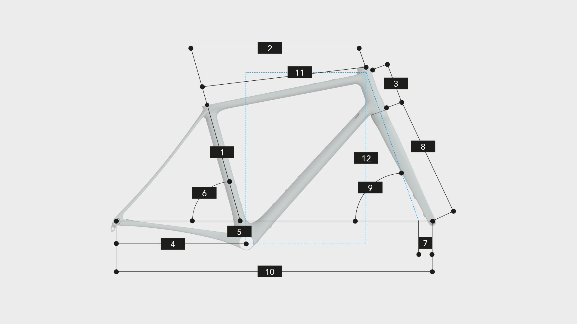 Focus izalco 2024 size chart